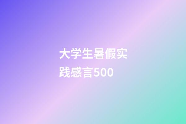 大学生暑假实践感言500