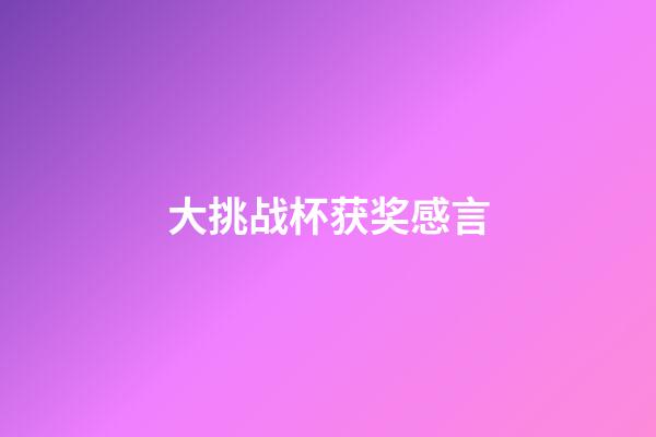 大挑战杯获奖感言