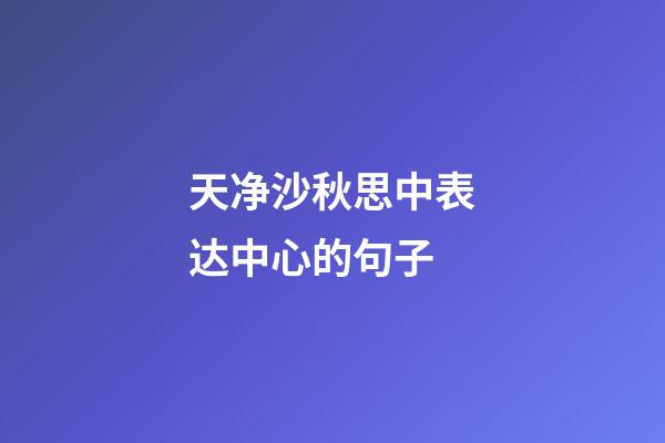 天净沙秋思中表达中心的句子