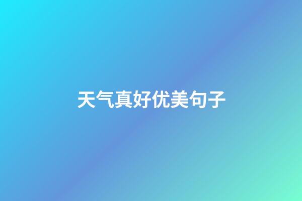 天气真好优美句子