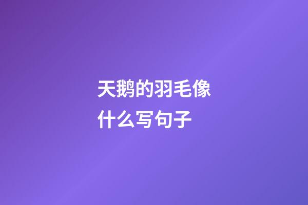 天鹅的羽毛像什么写句子