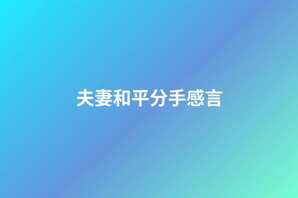 夫妻和平分手感言