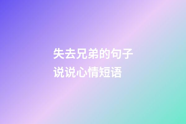 失去兄弟的句子说说心情短语