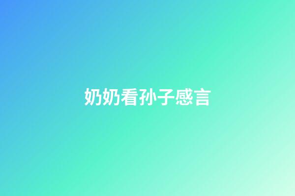 奶奶看孙子感言