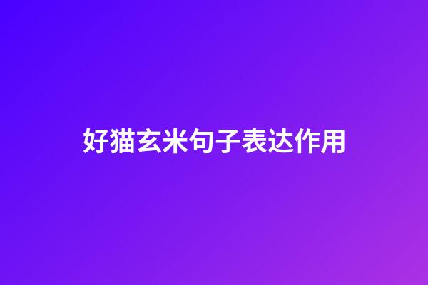 好猫玄米句子表达作用