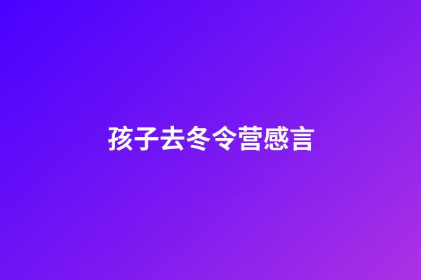 孩子去冬令营感言