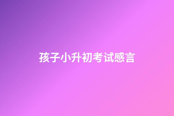 孩子小升初考试感言