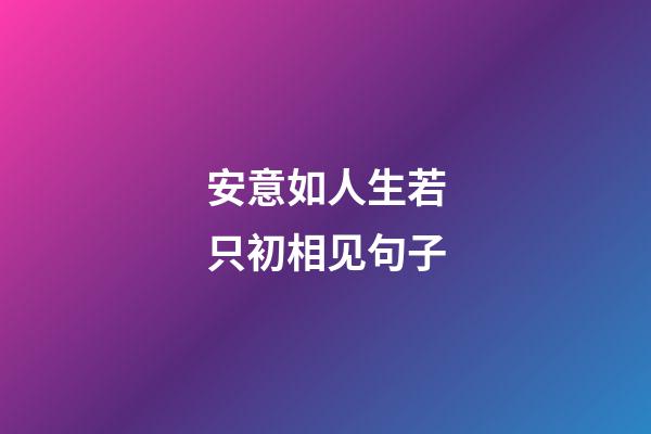安意如人生若只初相见句子
