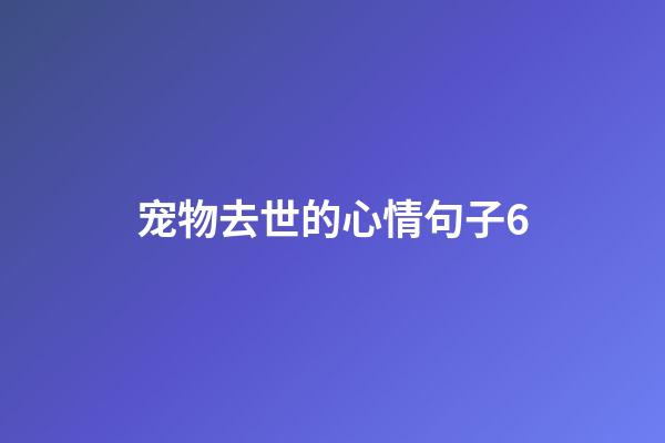 宠物去世的心情句子6