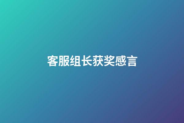 客服组长获奖感言