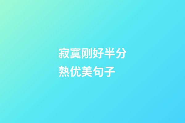 寂寞刚好半分熟优美句子