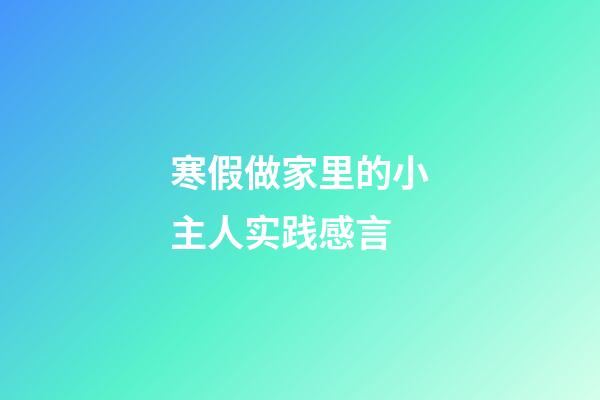 寒假做家里的小主人实践感言