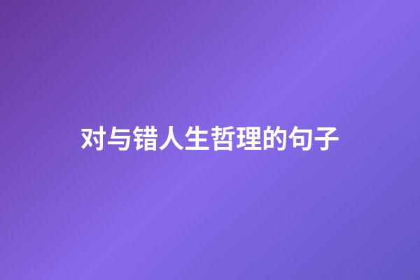 对与错人生哲理的句子