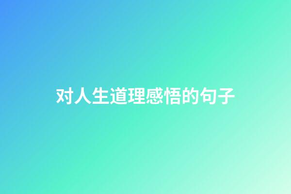 对人生道理感悟的句子
