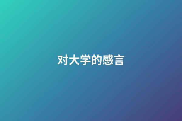 对大学的感言