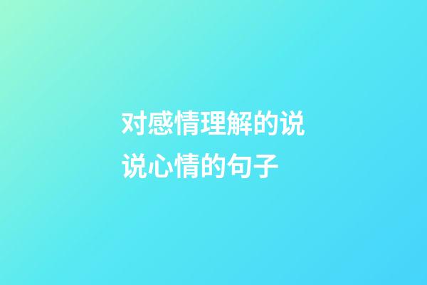 对感情理解的说说心情的句子