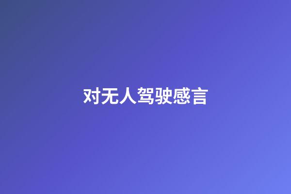 对无人驾驶感言
