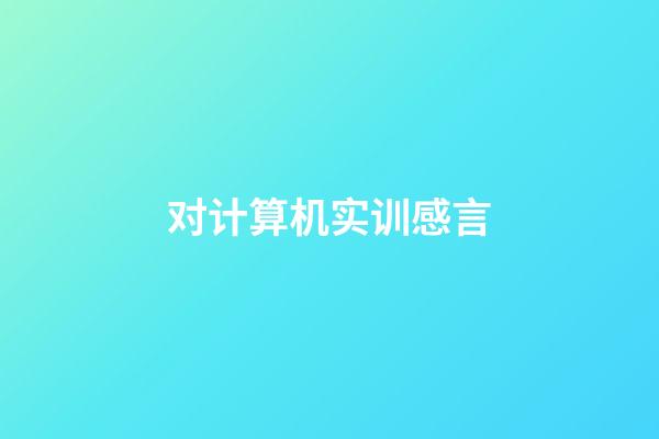 对计算机实训感言
