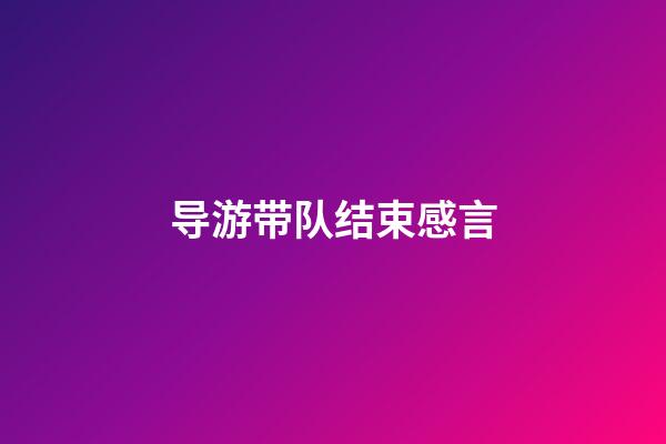 导游带队结束感言