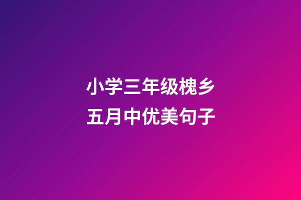 小学三年级槐乡五月中优美句子