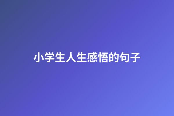 小学生人生感悟的句子