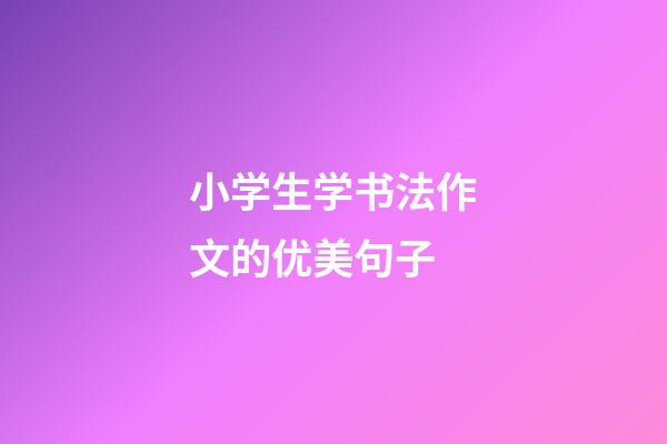 小学生学书法作文的优美句子