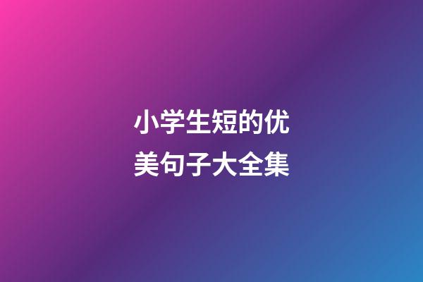小学生短的优美句子大全集