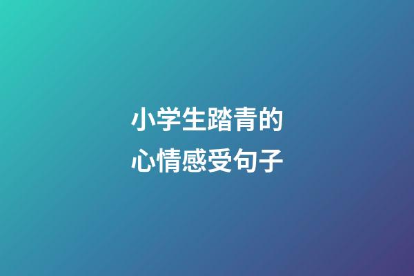 小学生踏青的心情感受句子