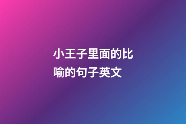 小王子里面的比喻的句子英文