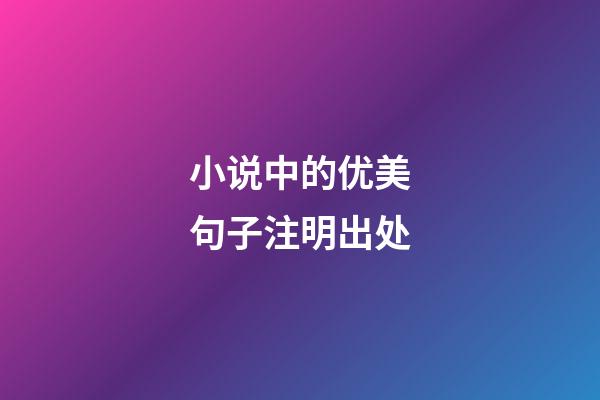 小说中的优美句子注明出处