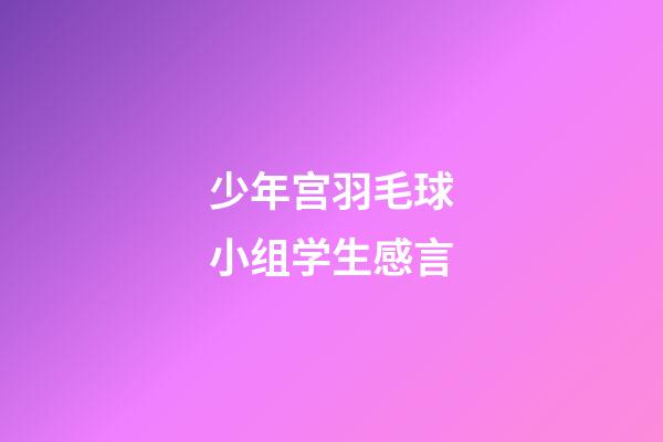 少年宫羽毛球小组学生感言