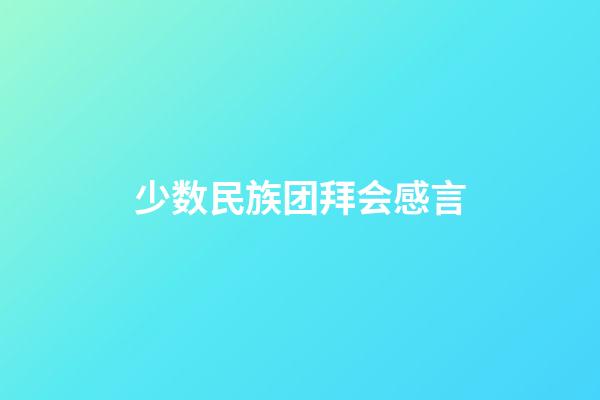 少数民族团拜会感言
