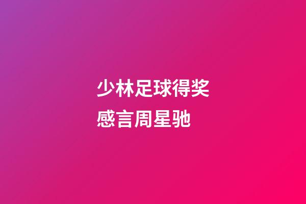少林足球得奖感言周星驰