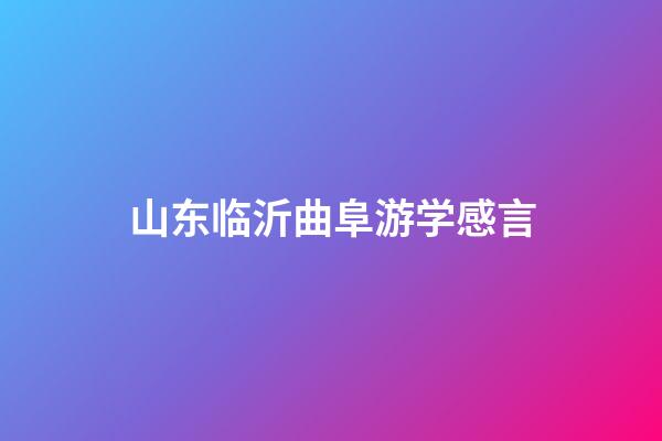 山东临沂曲阜游学感言