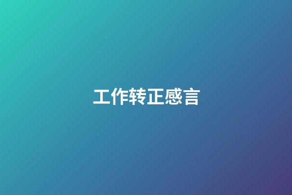 工作转正感言