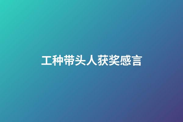 工种带头人获奖感言