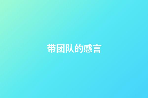 带团队的感言