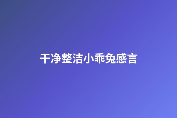 干净整洁小乖兔感言