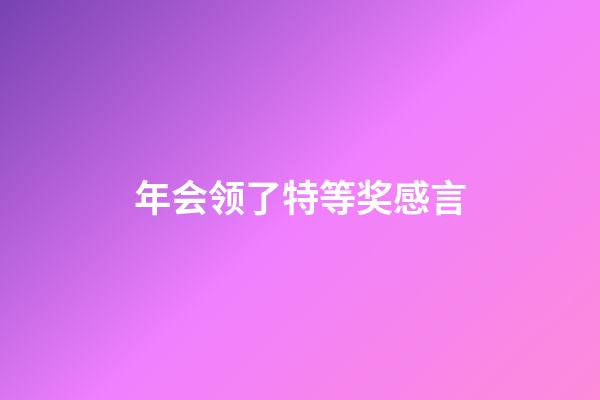 年会领了特等奖感言