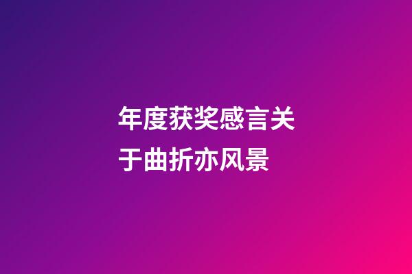 年度获奖感言关于曲折亦风景