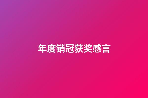 年度销冠获奖感言