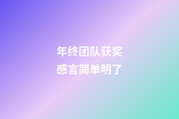 年终团队获奖感言简单明了