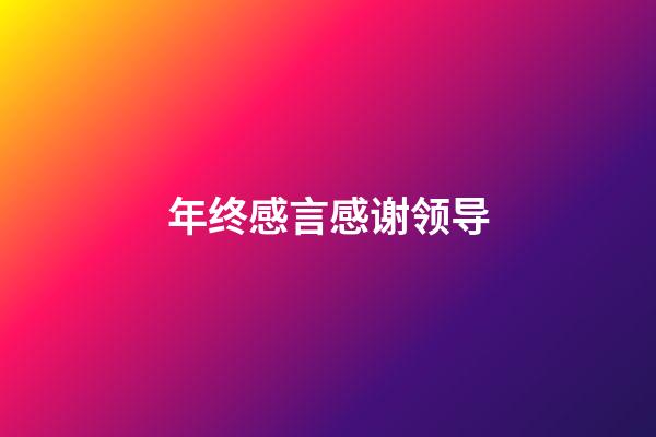 年终感言感谢领导