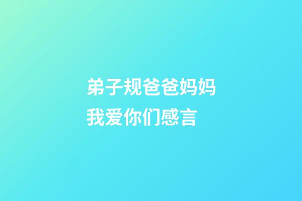 弟子规爸爸妈妈我爱你们感言