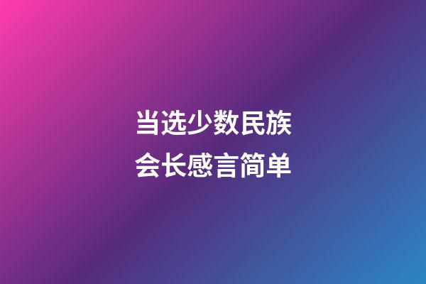 当选少数民族会长感言简单