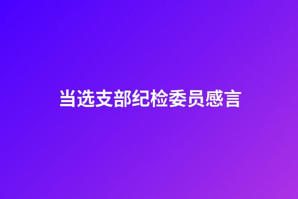 当选支部纪检委员感言