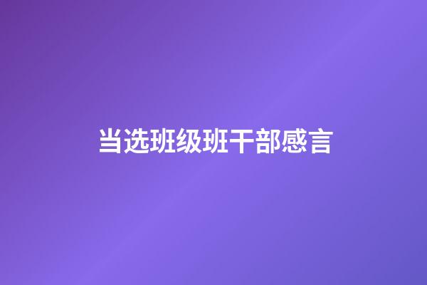 当选班级班干部感言