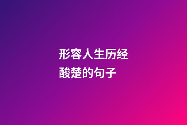 形容人生历经酸楚的句子