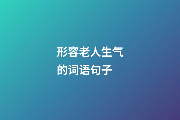 形容老人生气的词语句子
