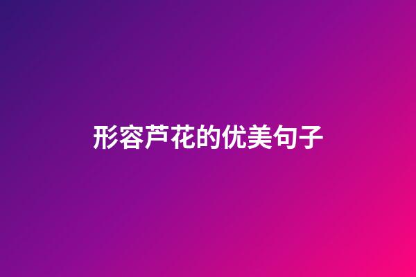 形容芦花的优美句子